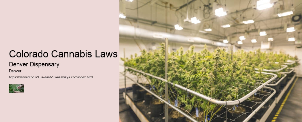 Colorado Cannabis Laws